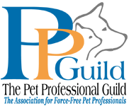 PPG logo